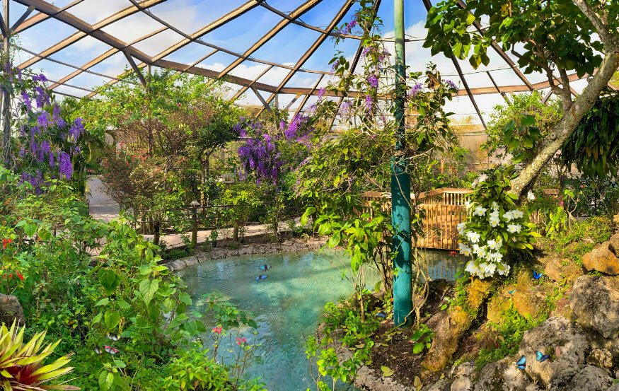 Butterfly World, Florida, USA